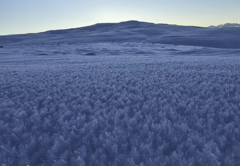 Breiða af yfirborðshrími á Fjarðarheiði. Ljósmynd: Bjarki Borgþórsson, 24.nóvember 2025