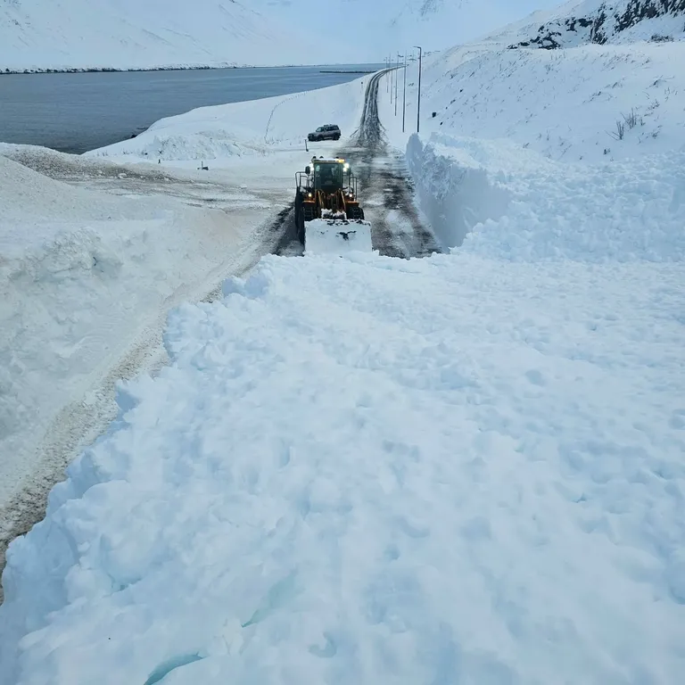 silgufjardavegur_gestur